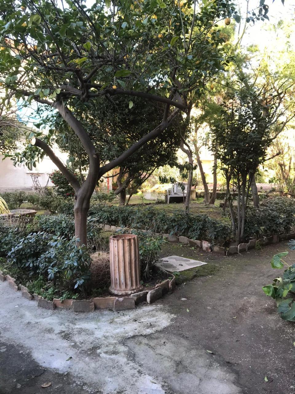 Il Giardino Di Vico Neve Bed & Breakfast Naples Exterior photo