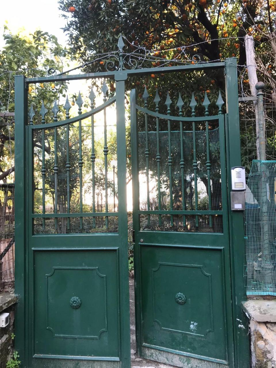 Il Giardino Di Vico Neve Bed & Breakfast Naples Exterior photo