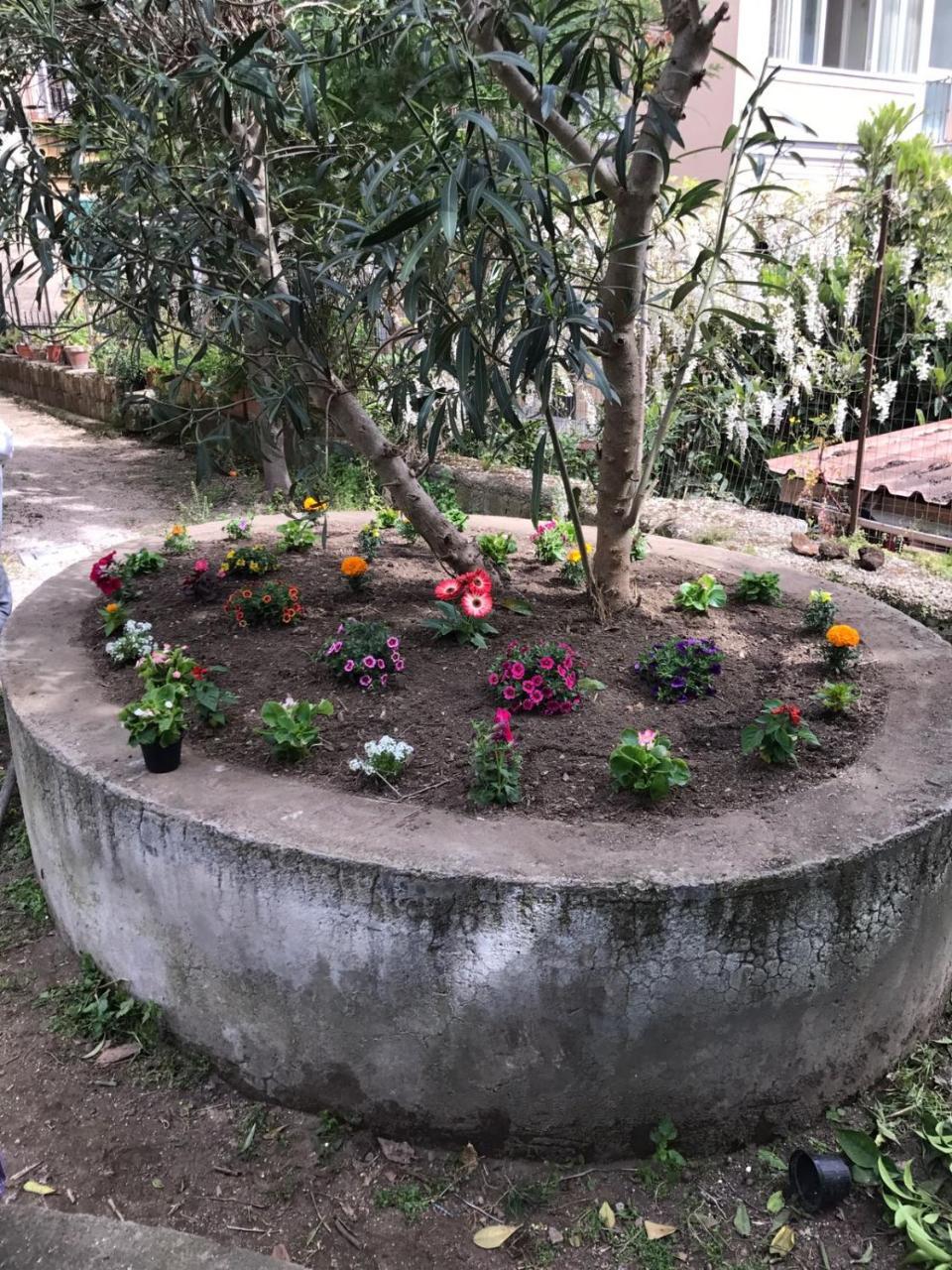 Il Giardino Di Vico Neve Bed & Breakfast Naples Exterior photo