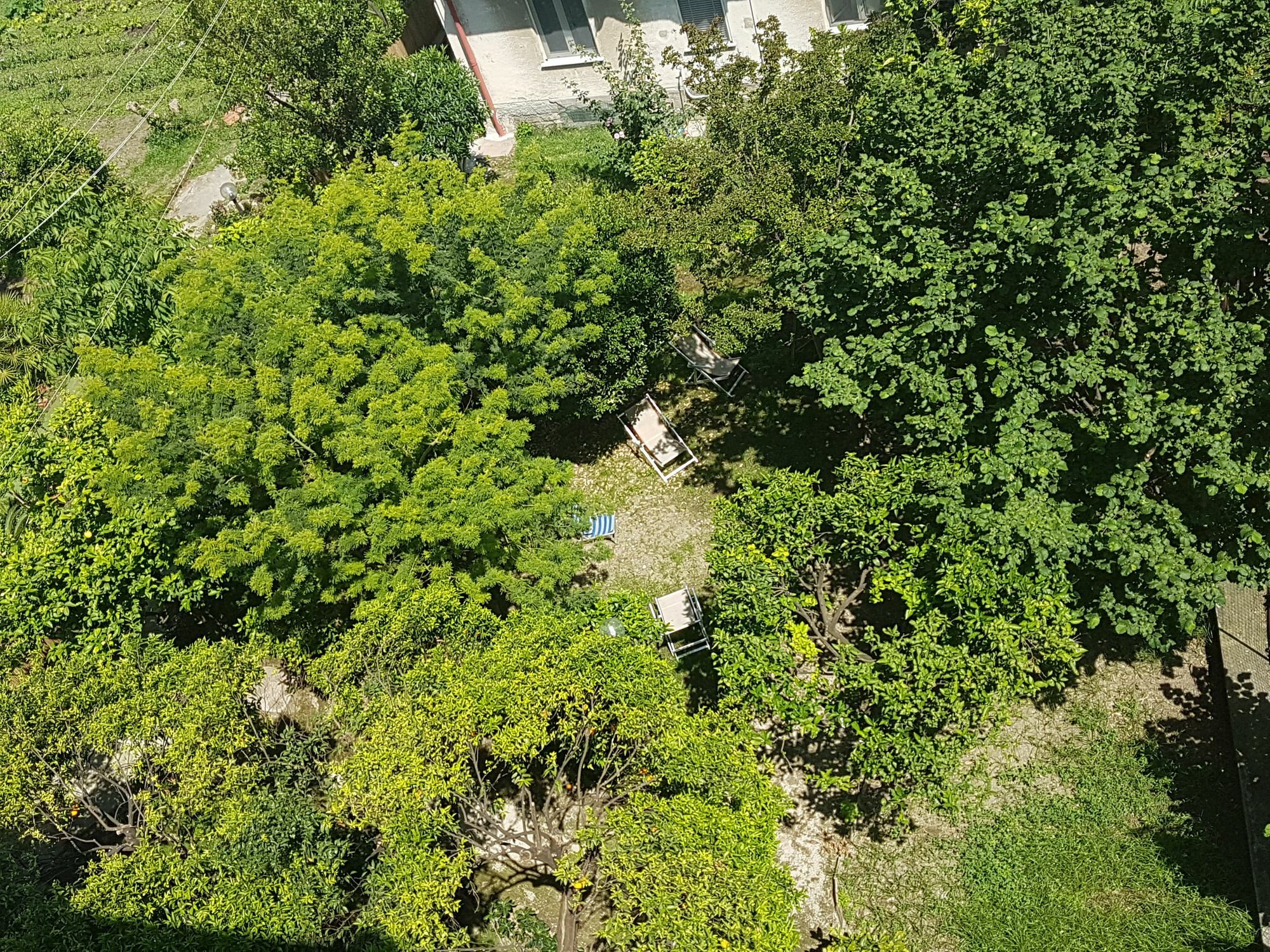 Il Giardino Di Vico Neve Bed & Breakfast Naples Exterior photo